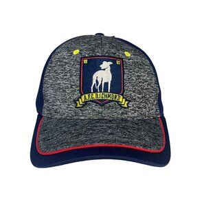 Ted Lasso A.F.C. Richmond Hat Cap Adjustable Snapback Blue Gray New
